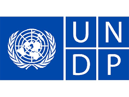 UNDP logo